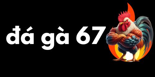 đá gà trực tiếp